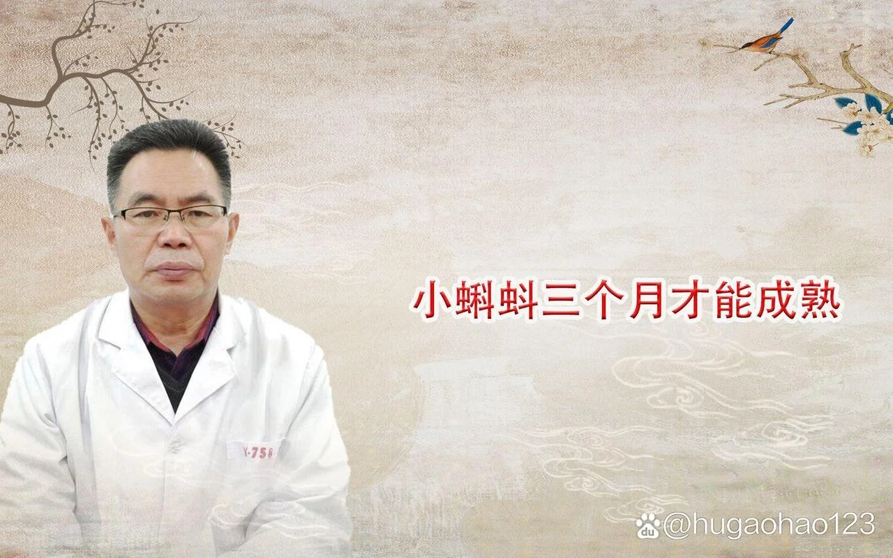 蝌蚪几月_2