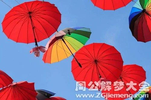 梦到买雨伞是什么征兆_2