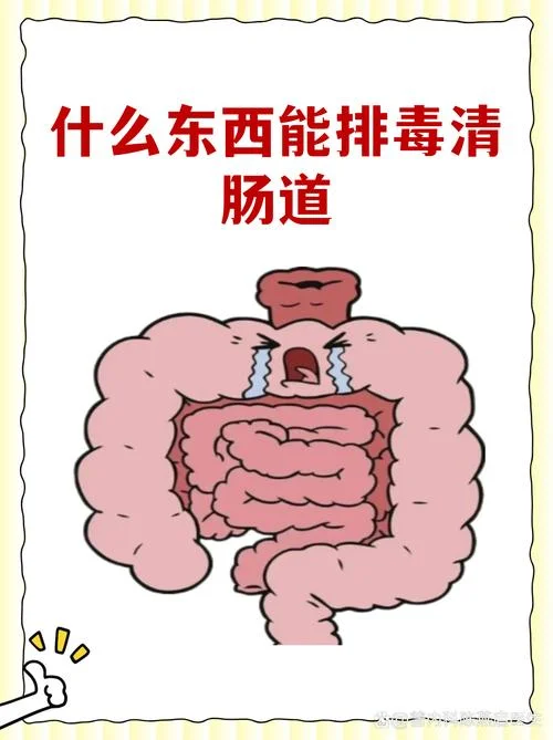 女人梦见排便很顺畅_1