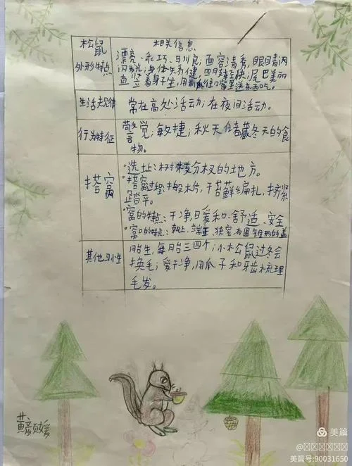 松鼠课文原文感悟_1