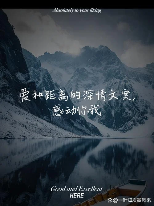 对爱情的感悟文案_1