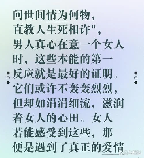 问世间,情为何物下一句是什么_1