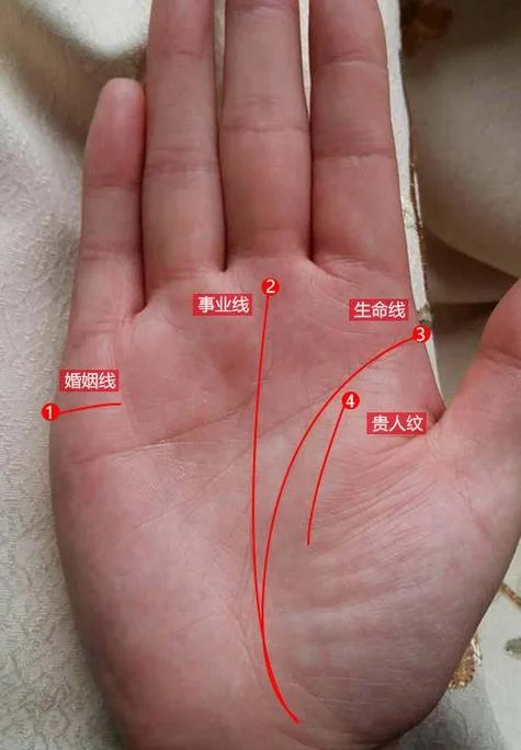 看手相有准吗-看手相准不准