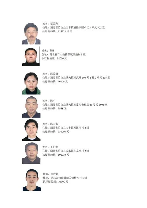 如何查失信黑名单_1