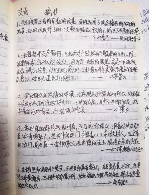 艾青诗选读书感悟_2