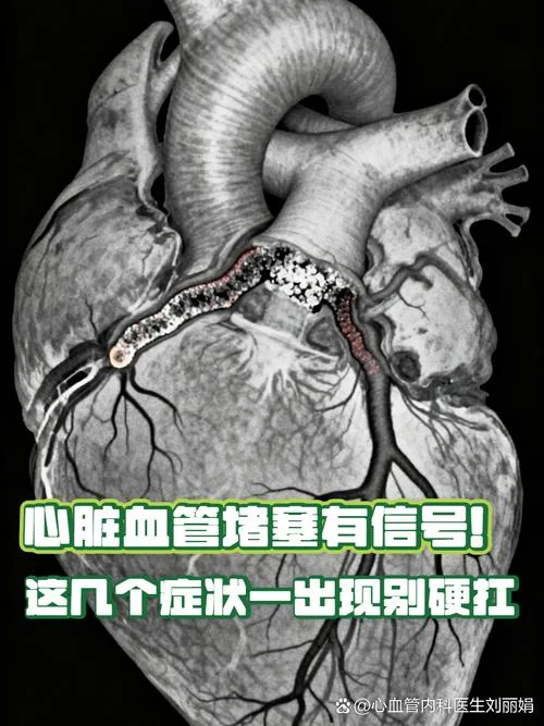 心脏堵塞叫什么病症状-心脏堵塞病症有哪些？