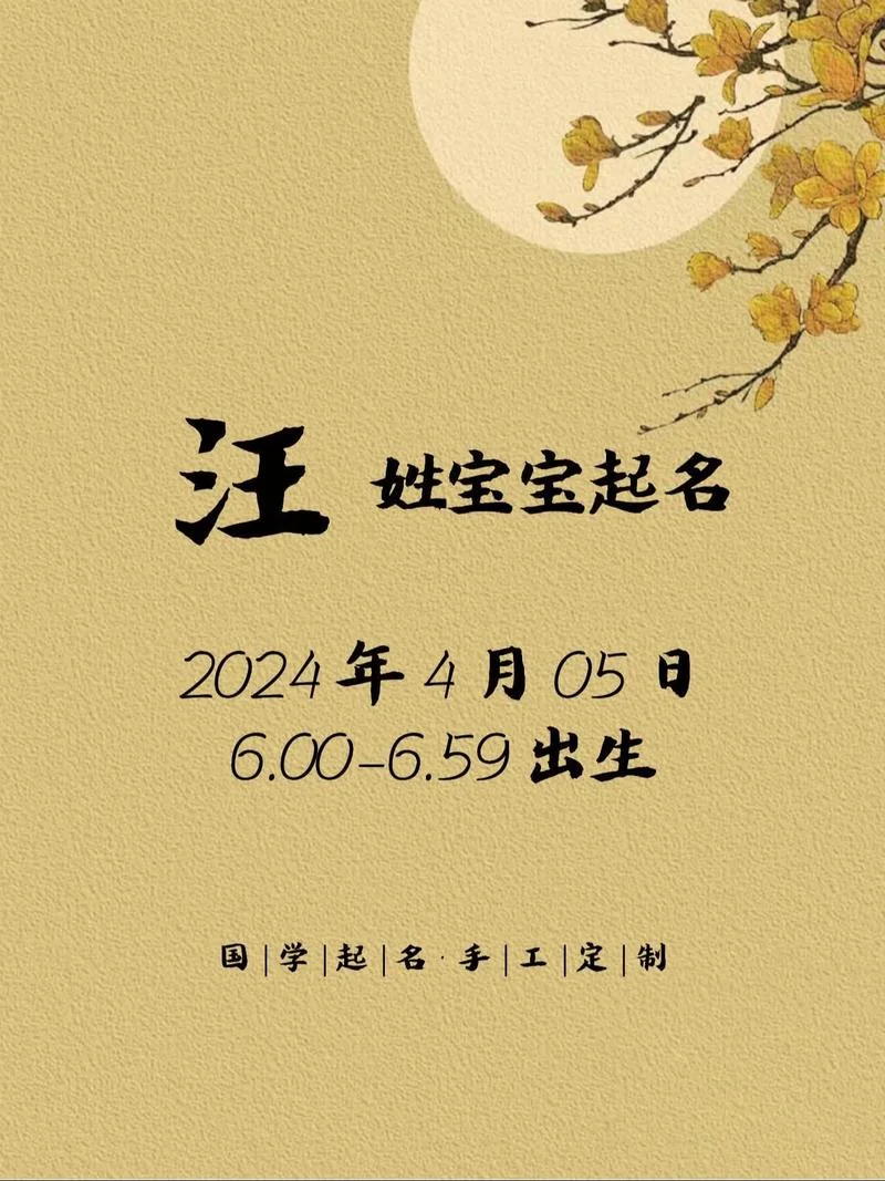汪氏宝宝起名_1