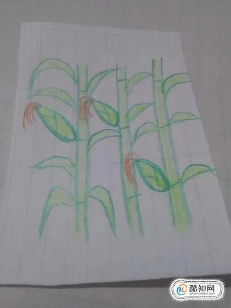 玉米地简笔画_1