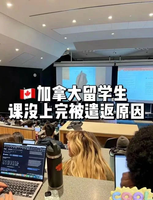 加拿大留学原因-加拿大留学原因