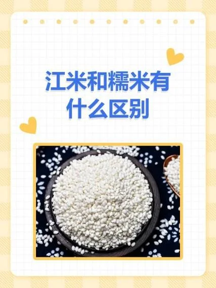 糯米是江米吗长什么样_1