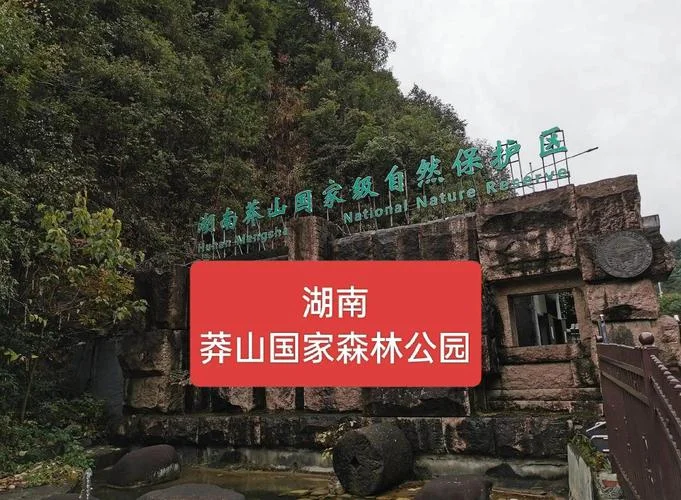 郴州莽山国家森林公园旅游攻略_1