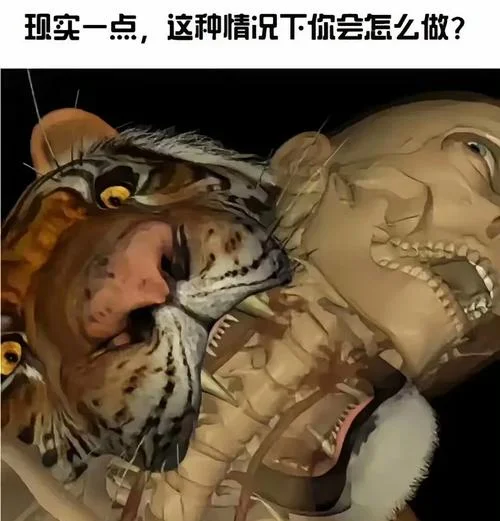 梦到老虎吃人什么预兆_1