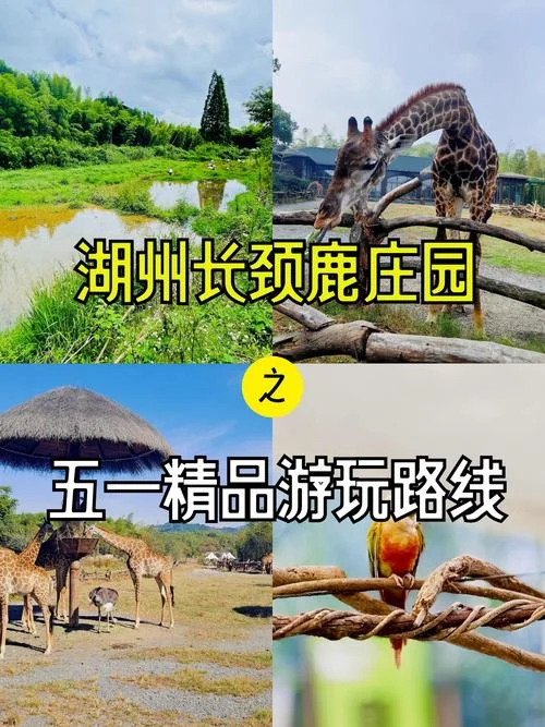 长鹿农庄攻略一日游_1