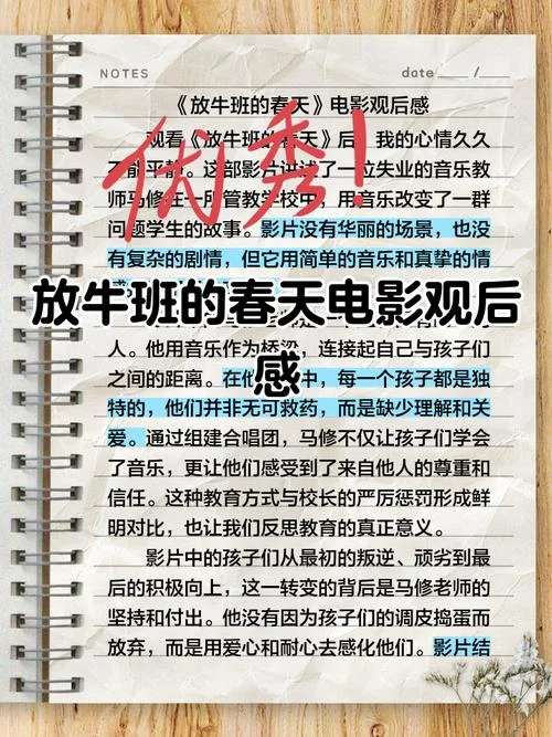 电影斗牛感悟_2