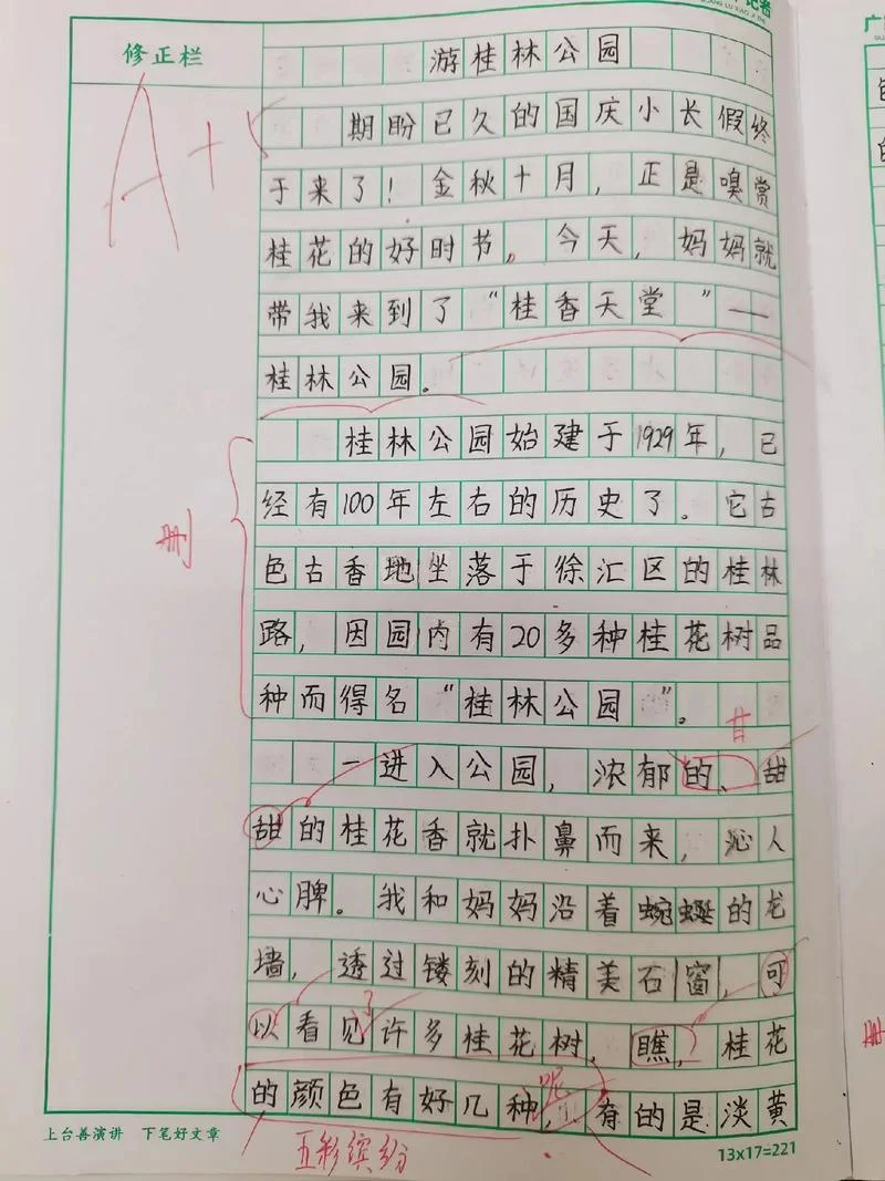 写桂林山水的作文630字_1