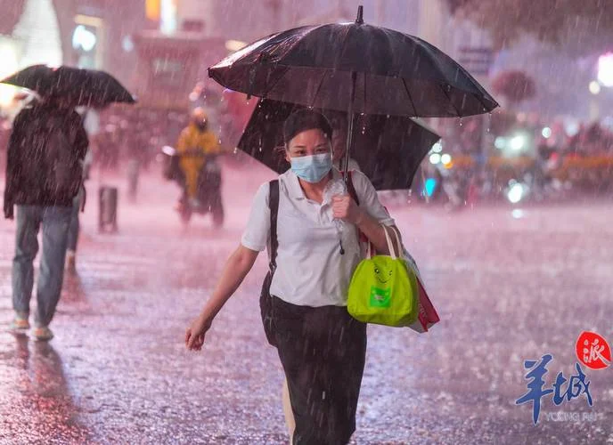 梦见下特大暴雨_1