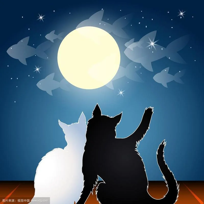 梦见猫蹭我_1