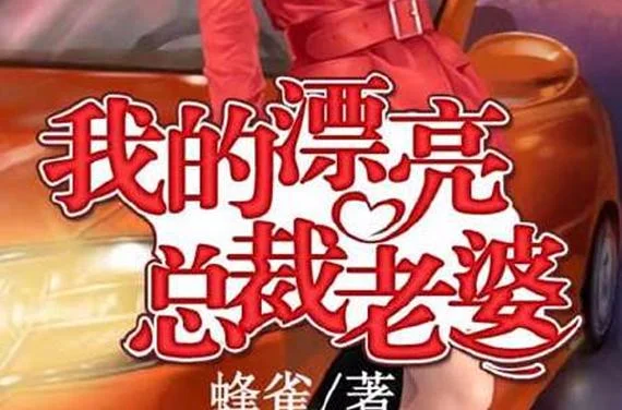 我的老婆是杀手谁写的_1