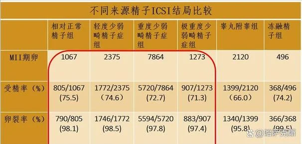 什么是精子畸形率_1