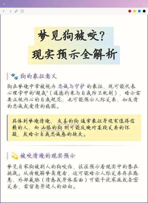 梦见狗咬自己右手出血_2