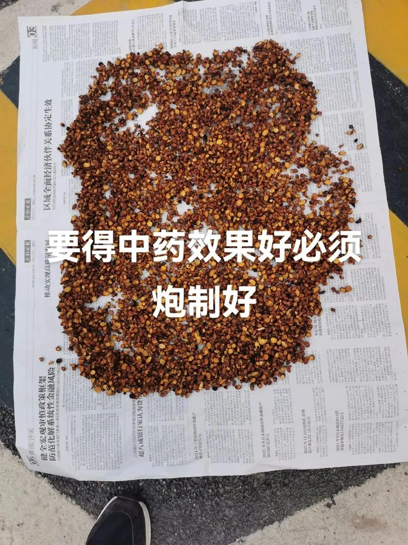 中药炮制学习心得体会_1