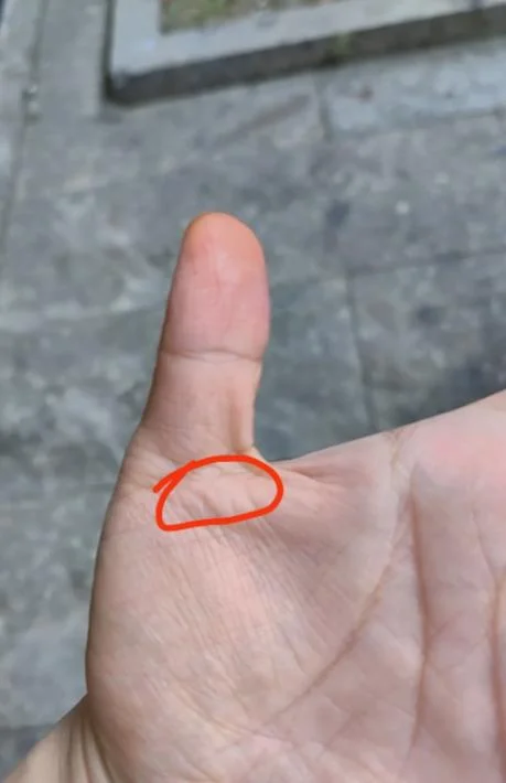 大拇指叫什么指_2