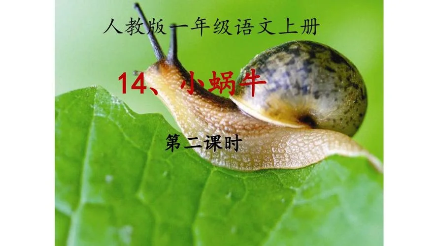一年级蜗牛送信读后感_2