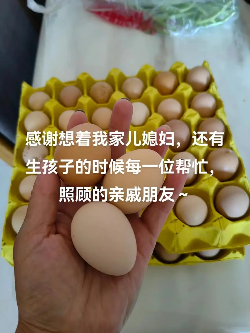 梦见亲戚来我家帮忙-