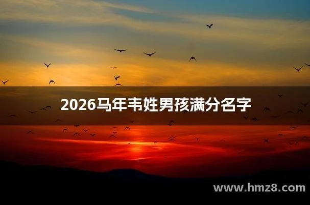 公司起名带驹的名称_2