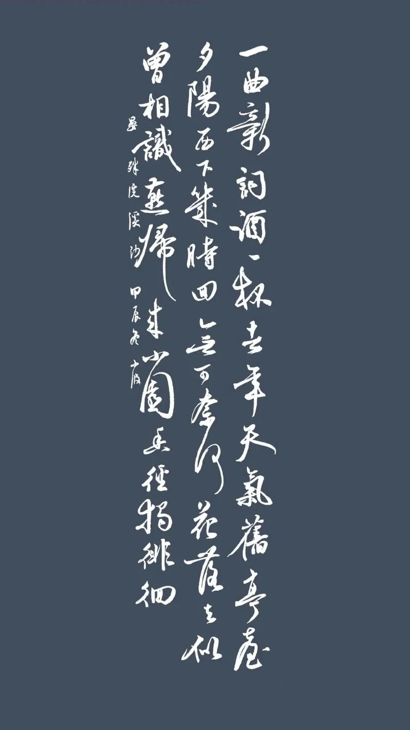 一杯浊酒笑风尘下一句_2