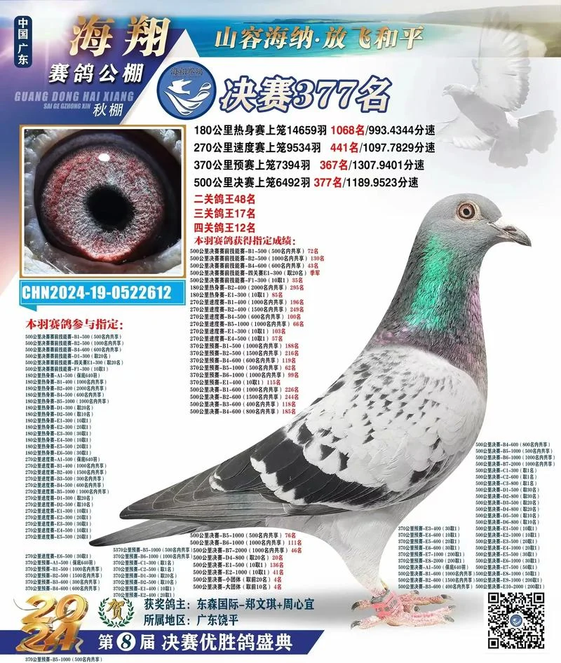 中国搜鸽网查信鸽成绩_1