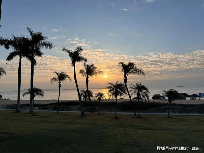冬天厦门旅游攻略景区_1