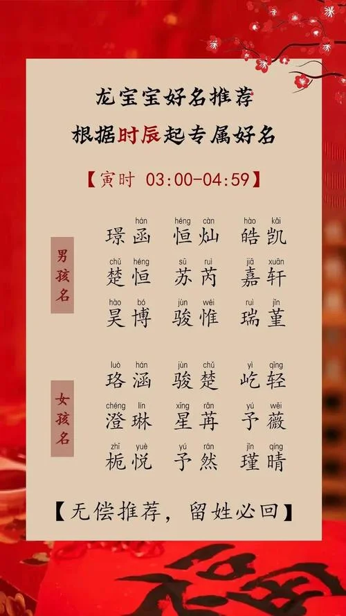 赖姓男孩起名_2