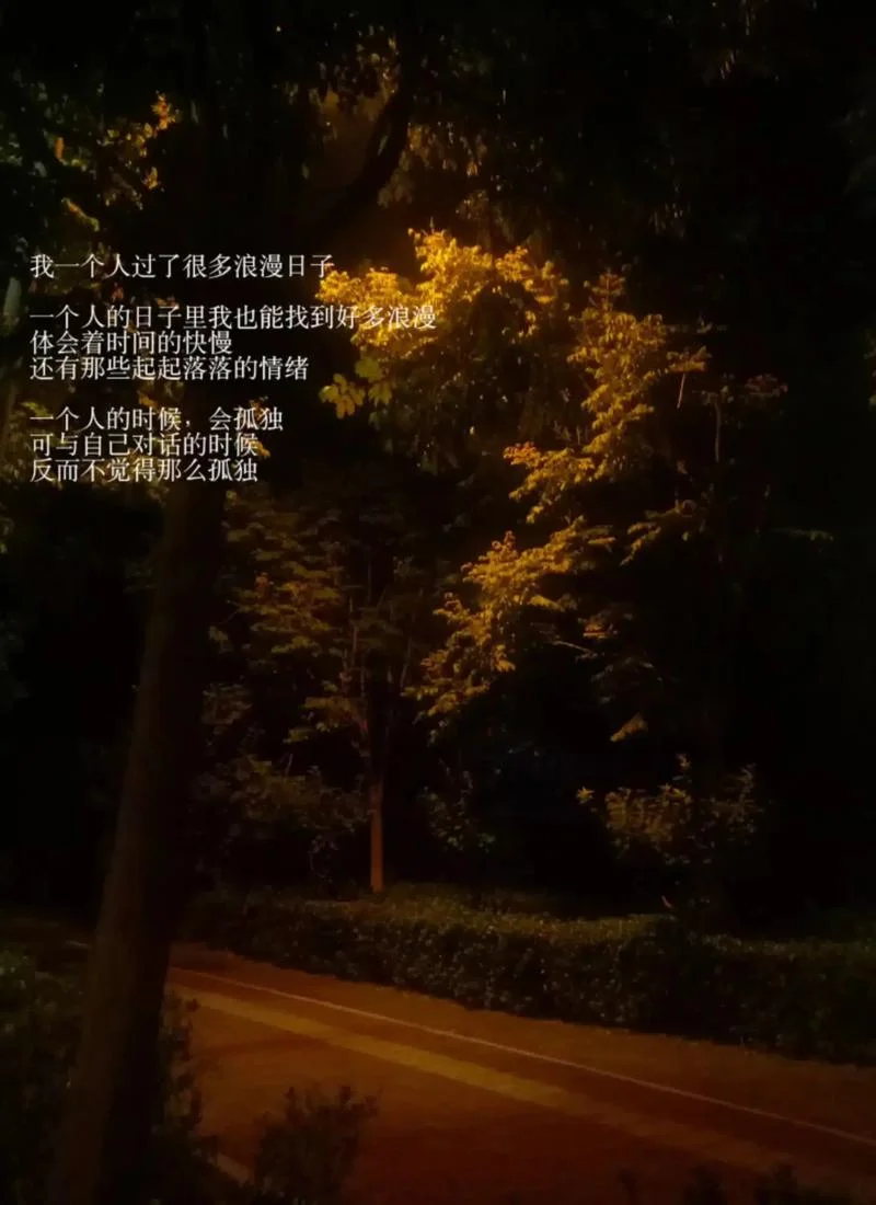 唯美伤感文案孤独_2