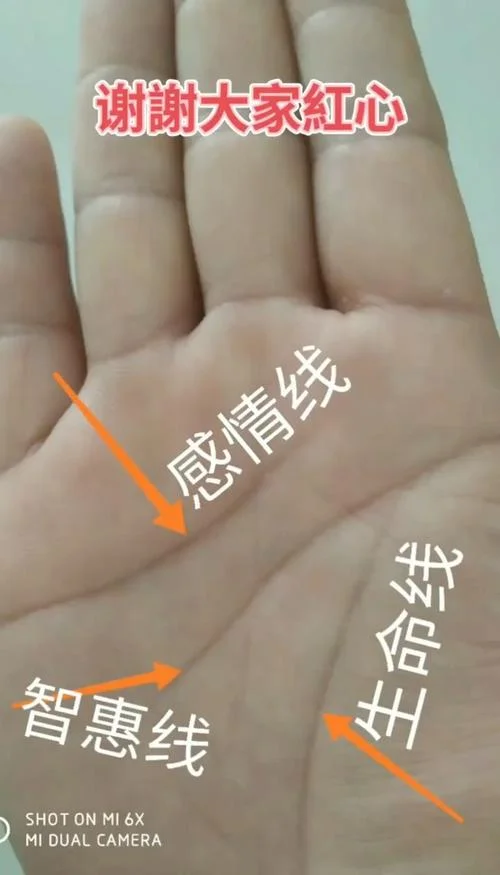 手相三条线代表_2