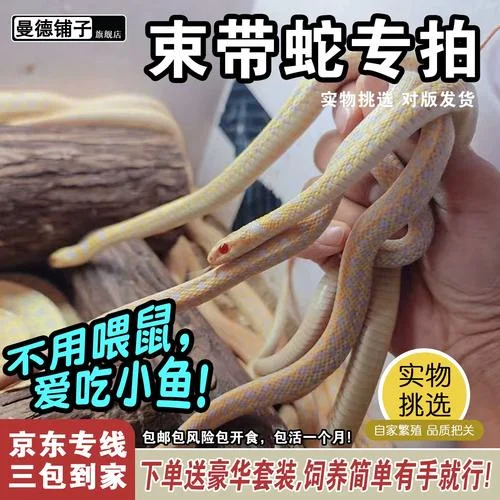 做梦梦到蛇咬人_2