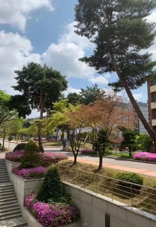 韩国清州大学翟浩杨-韩国清州大学翟浩杨