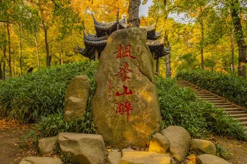 醉枫染墨出自哪首诗-醉枫染墨出自哪首诗