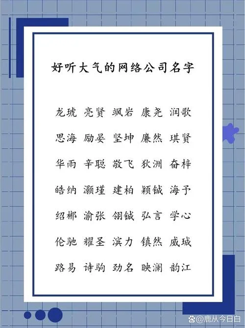 好的网络科技公司名字_2