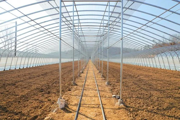 建一个蔬菜大棚-搭建蔬菜大棚