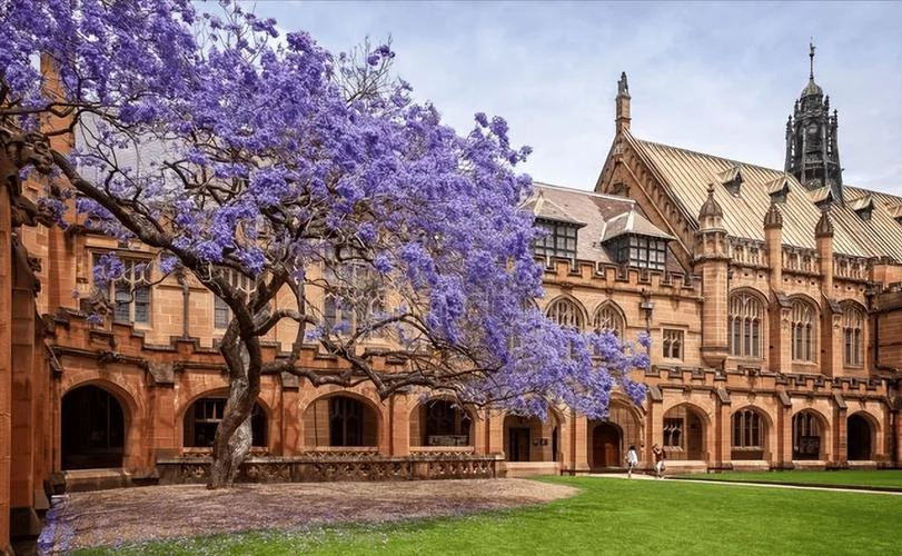 法国悉尼大学-法国悉尼大学
