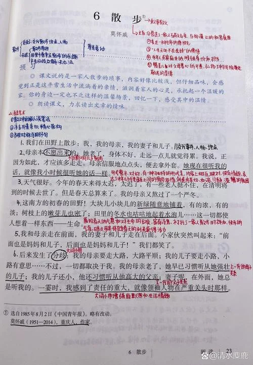美学散步读后感八百字-美学散步读后感