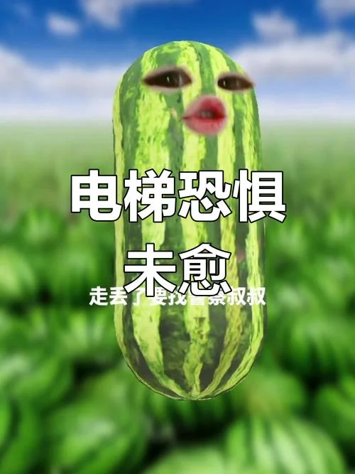 梦到电梯噩梦-电梯坠落梦魇