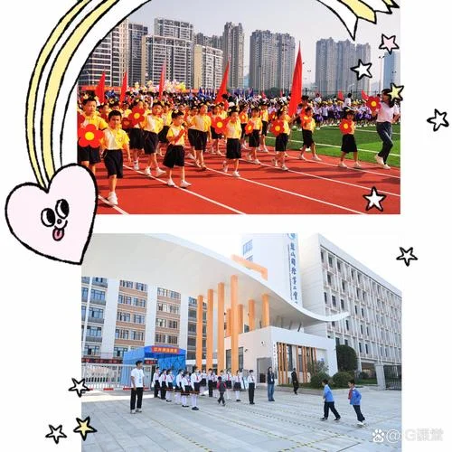 麓山国际小学入学条件_1