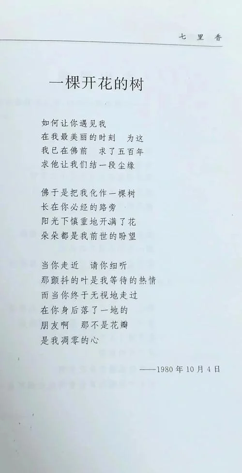 人生感悟的现代诗_2
