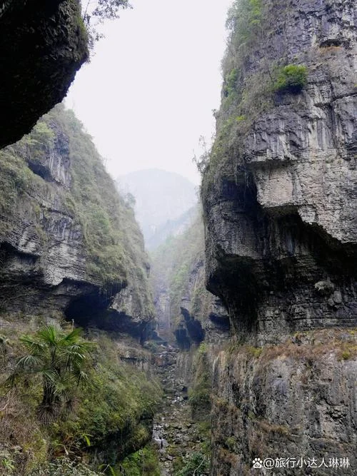 佛山恩施大峡谷2日游_2