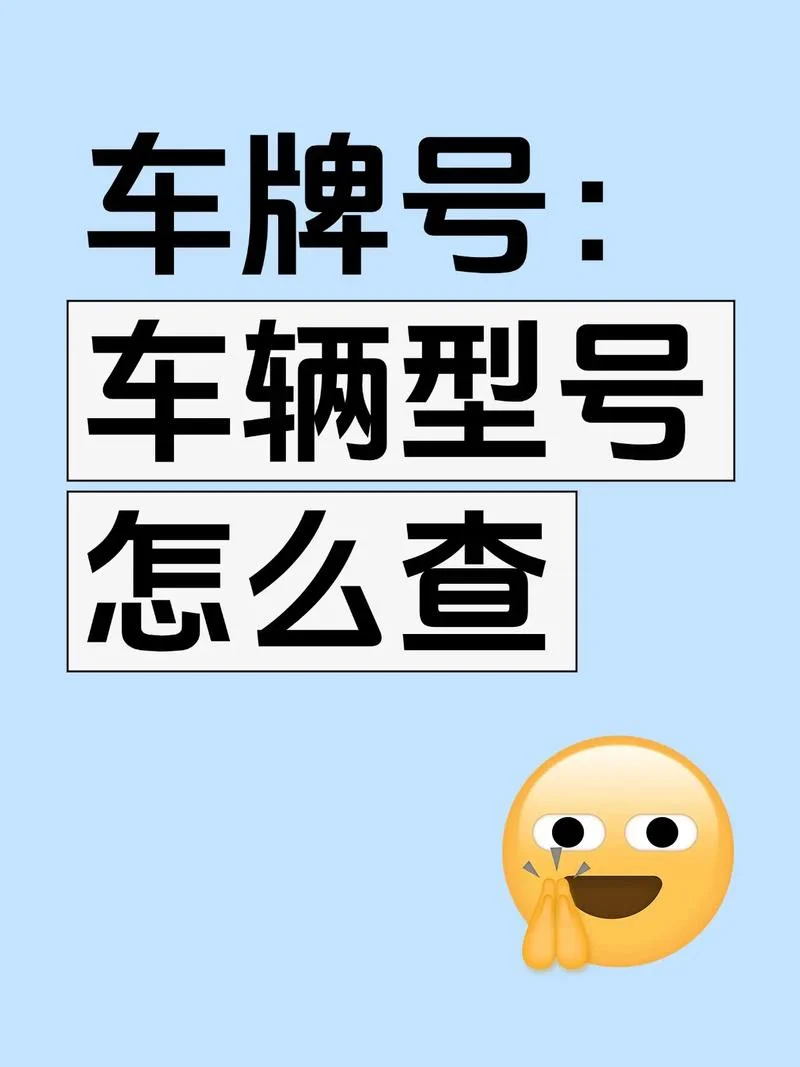 如何从车牌号查车主_1