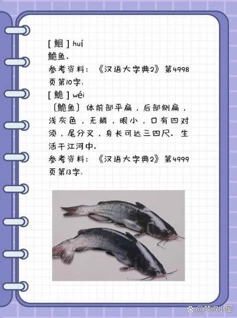ci鱼的ci怎么写_2