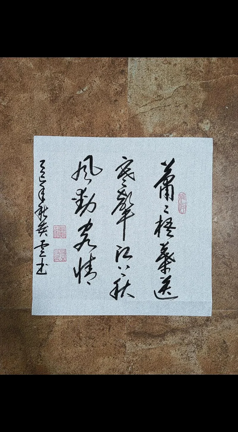 潇潇无语送寒声下一句是什么_2