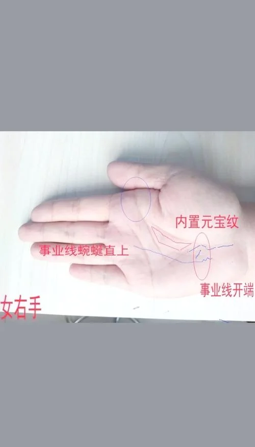 两只手都有元宝纹手相_2